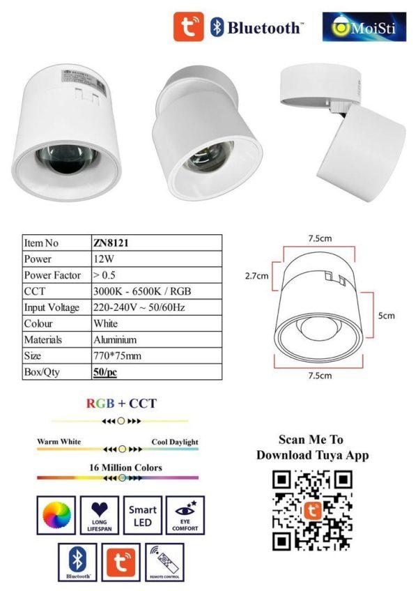 DL ZN8121WH Tsen Lighting